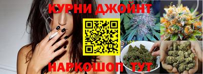гидра Нарткала