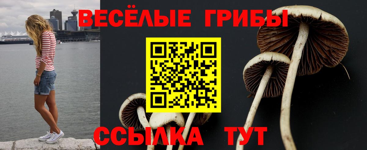 Псилоцибиновые грибы прущие грибы Псков